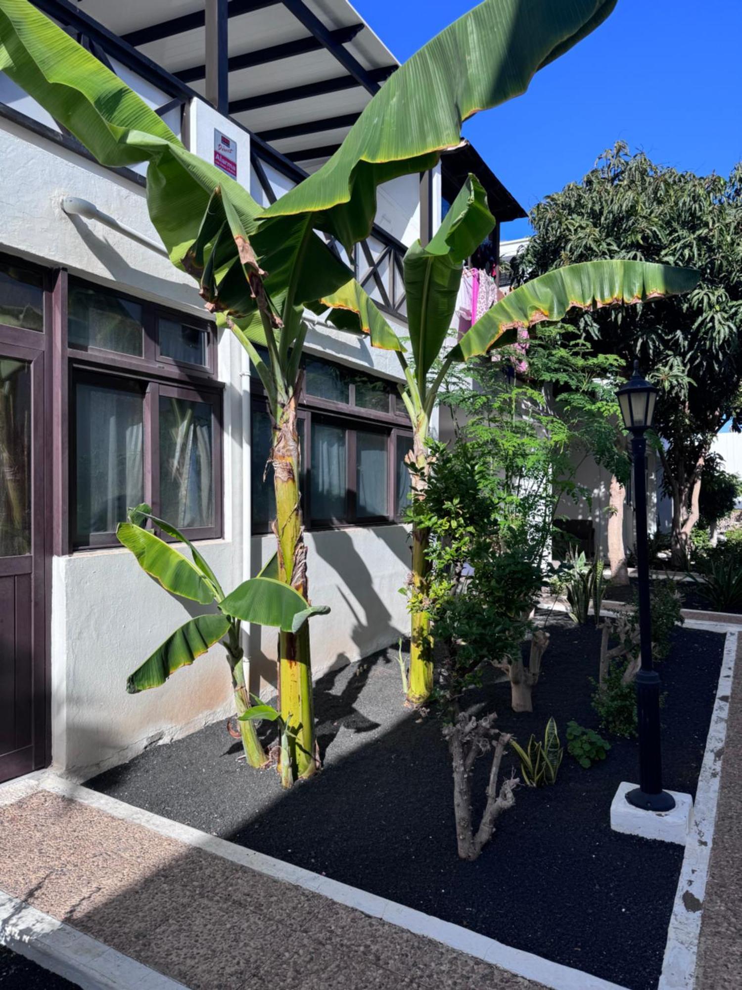 Casa Ana Puerto Del Carmen Lägenhet Tías Exteriör bild